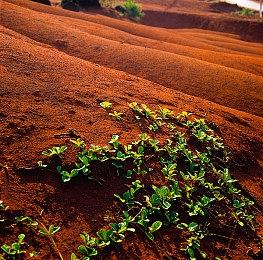 《君望》众筹活动圆满结束 众筹金额近5800万日元