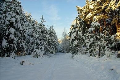 《羊蹄山之魂》确认加入采集食物 力求真实描绘北海道